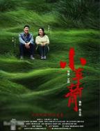 小草青青-电视剧免费在线观看